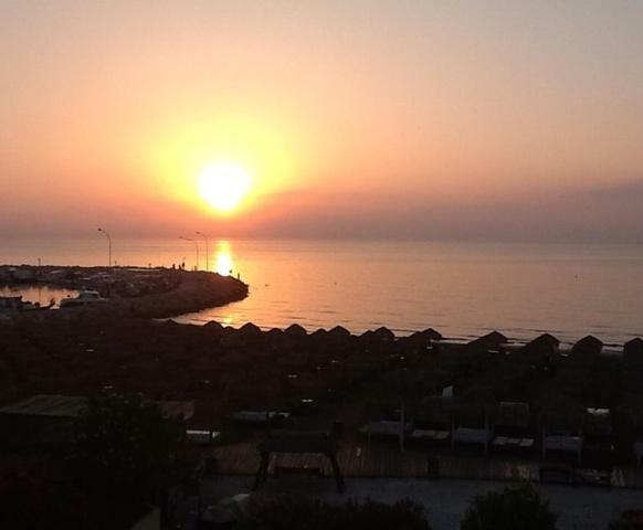 Haig'S Dream Flat On The Beach Larnaca Exteriör bild
