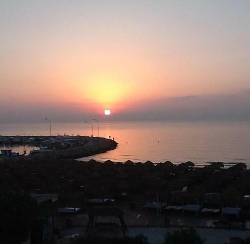 Haig'S Dream Flat On The Beach Larnaca Exteriör bild