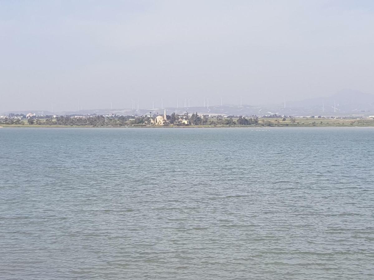 Haig'S Dream Flat On The Beach Larnaca Exteriör bild